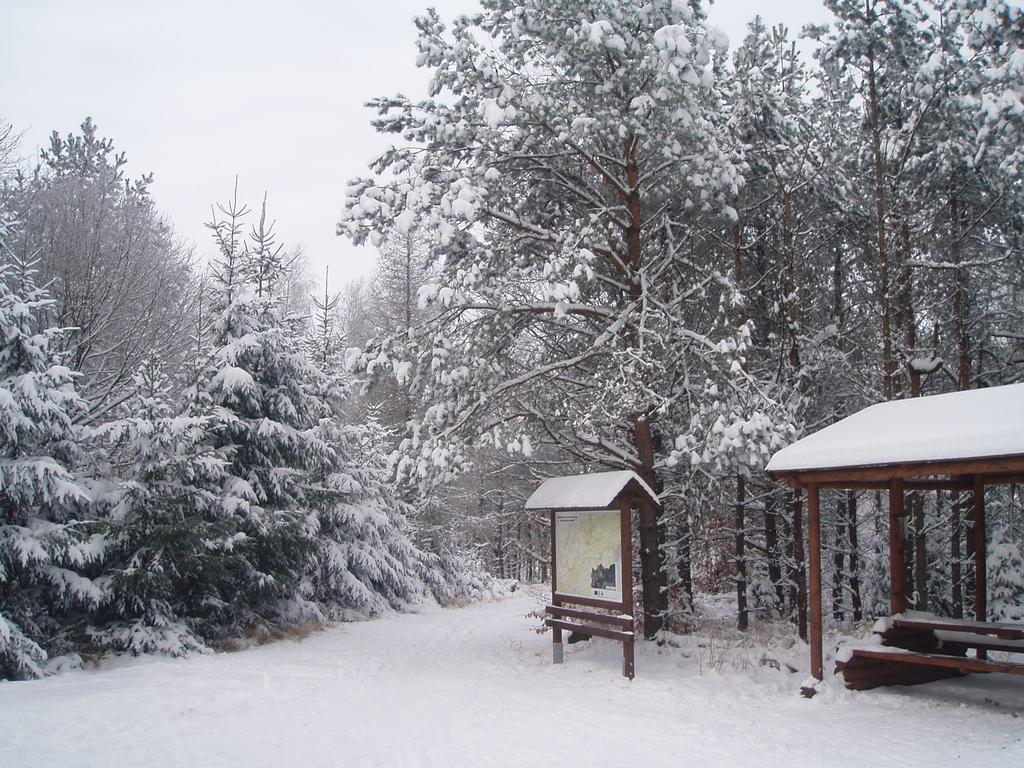 Apartman Tisa 68 Buitenkant foto